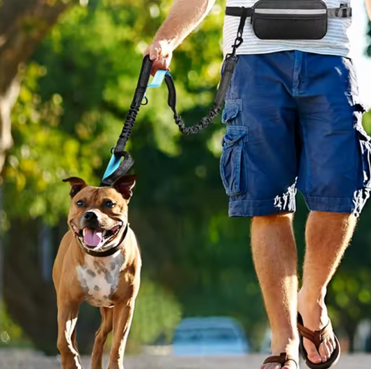 Ultimate Hands-Free Dog Leash