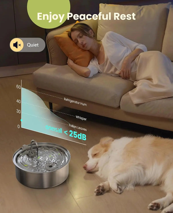 Super Quiet Dog Water Fountain